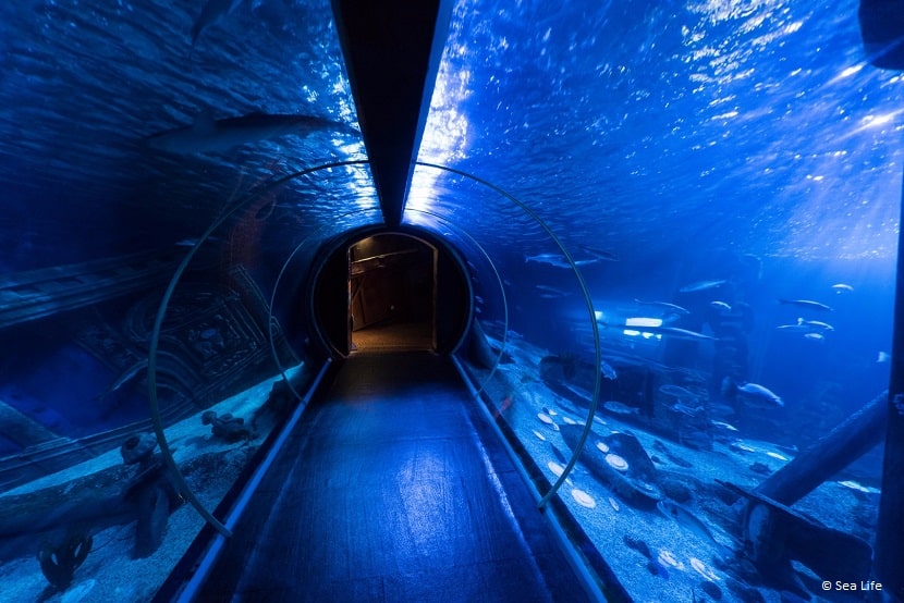 Túnel del acuario SEA LIFE Paris Val d'Europe