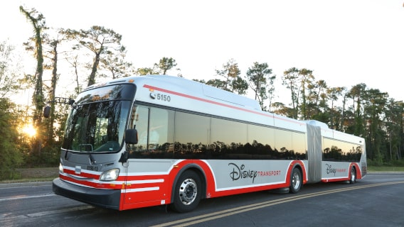 Autobús Disney Transport para llegar a los parques de Walt Disney World Resort Orlando