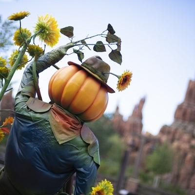 Decoración Halloween con calabaza en  Frontierland Disneyland Paris