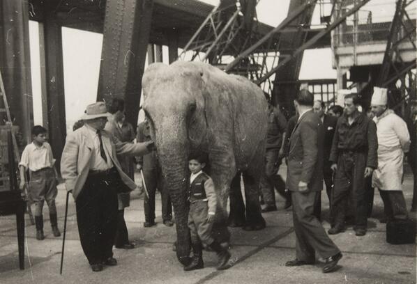 Elefante con miembros del circo Bouglione en la primera planta de la torre Eiffel