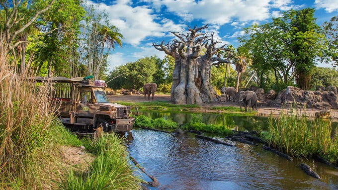 Todoterreno frente a unos elefantes en el safari de Animal Kingdom Orlando