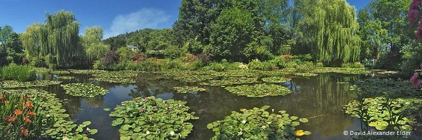 Estanque del jardín de Monet en Giverny