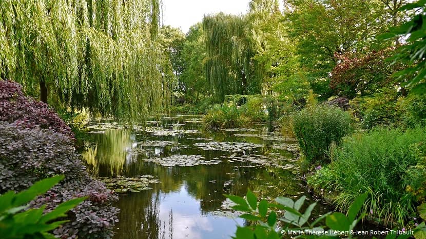 Estanque del jardín de Monet en Giverny