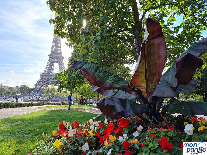 Jardín con una palmera y flores de colores en Trocadero París