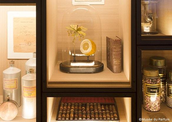 Materias primas de los perfumes en el Museo del Perfume de París