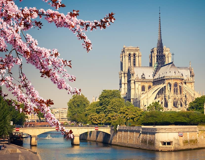 Vista de la Catedral de Notre Dame con cerezos en flor en primer plano y el río Sena en París en primavera.