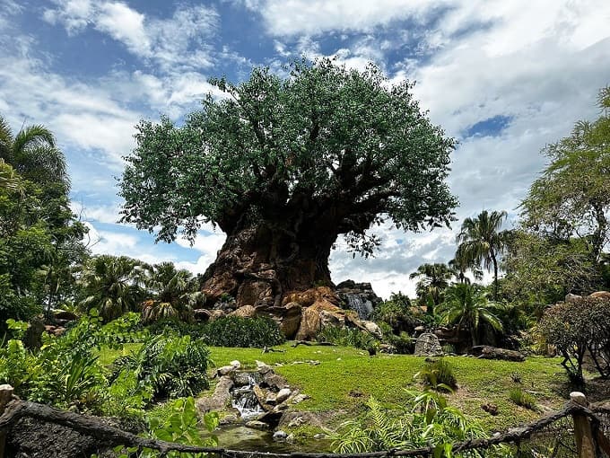 El gigantesco árbol de la vida en el parque Animal Kingdom Orlando